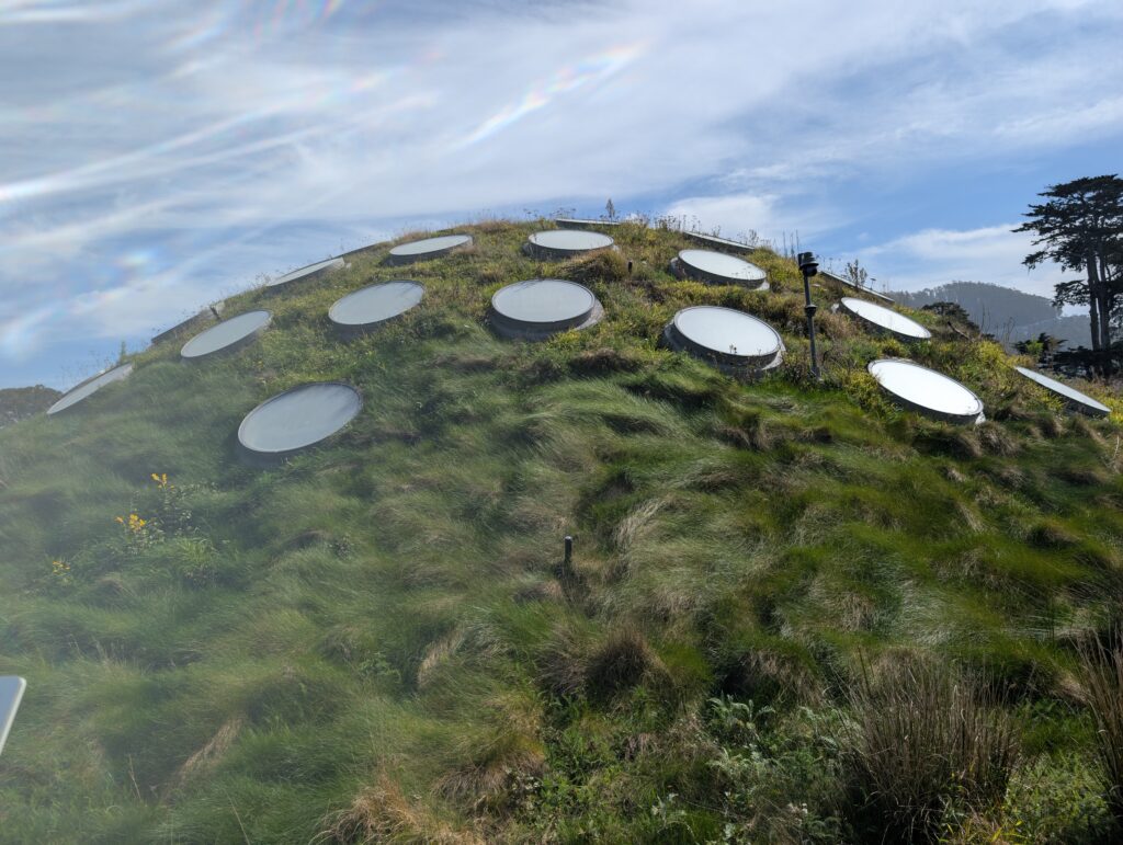 Living roof